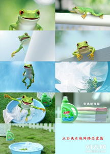 廣州番禺企業宣傳片與三維動畫展示，為何騰視文化動漫制作備受青睞？